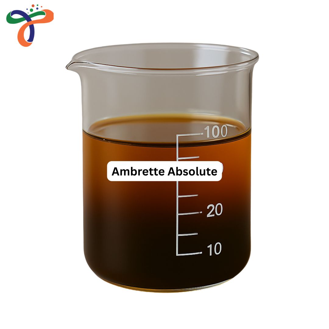 Ambrette Absolute